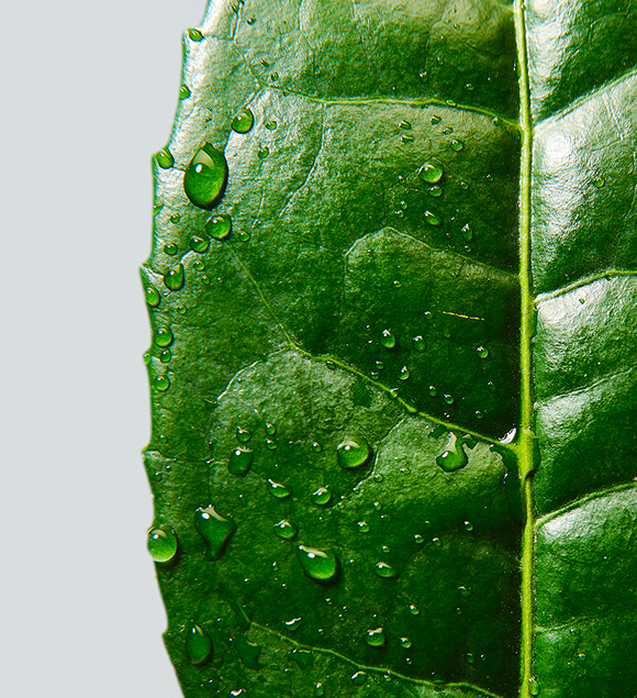 自然植萃 × 韓國肌膚科學
