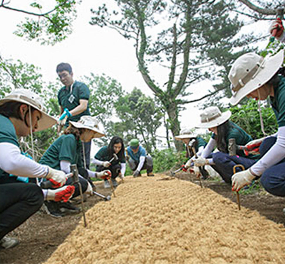 贊助濟州偶來小徑(JEJU Olle Trail)