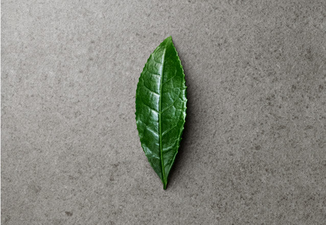 鮮榨綠茶水2.0的雙重萃取技術